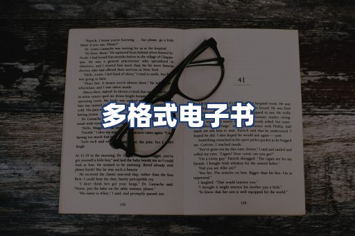 多格式电子书